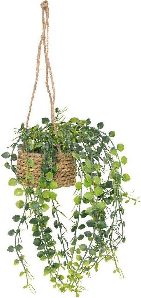 Künstliche hängepflanze "patri" h47cm  - Atmosphera Produktbild 