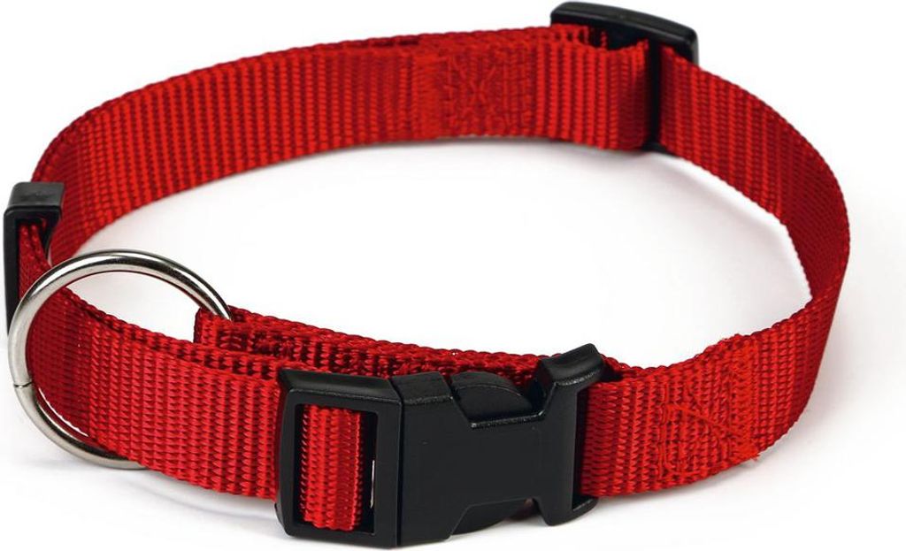 Beeztees - Hundehalsband - Nylon - rot - 30-45 cm x 15 mm