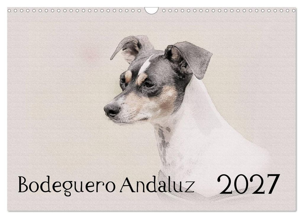 Bodeguero Andaluz 2027 (Wandkalender 2027 DIN A3 quer), CALVENDO Monatskalender
