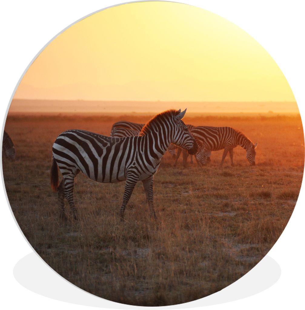 MuchoWow Rundes Wandbild - Runde Bilder Sonnenaufgang im Amboseli-Nationalpark im afrikanischen Kenia Ø 60 cm Kreis Wanddekoration Kunststoff - ...