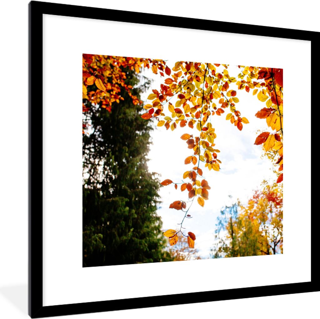 MuchoWow® Gerahmtes Poster Herbst - Laub - Natur 40x40 cm - Produktbild 