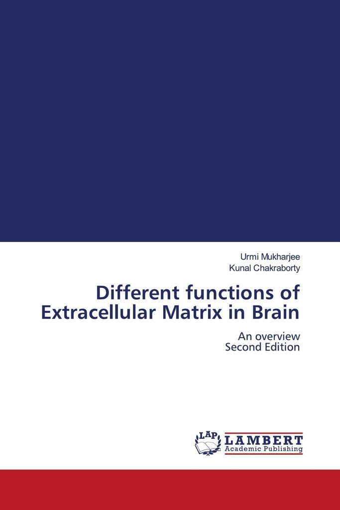 Different functions of Extracellular Matrix in Brain