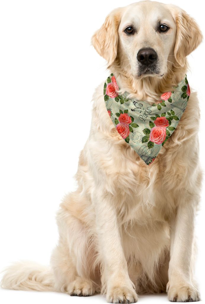 ABAKUHAUS Romantisch Haustier Bandana, Paris Themed Blumen, 55x55 cm, Salmon and Green
