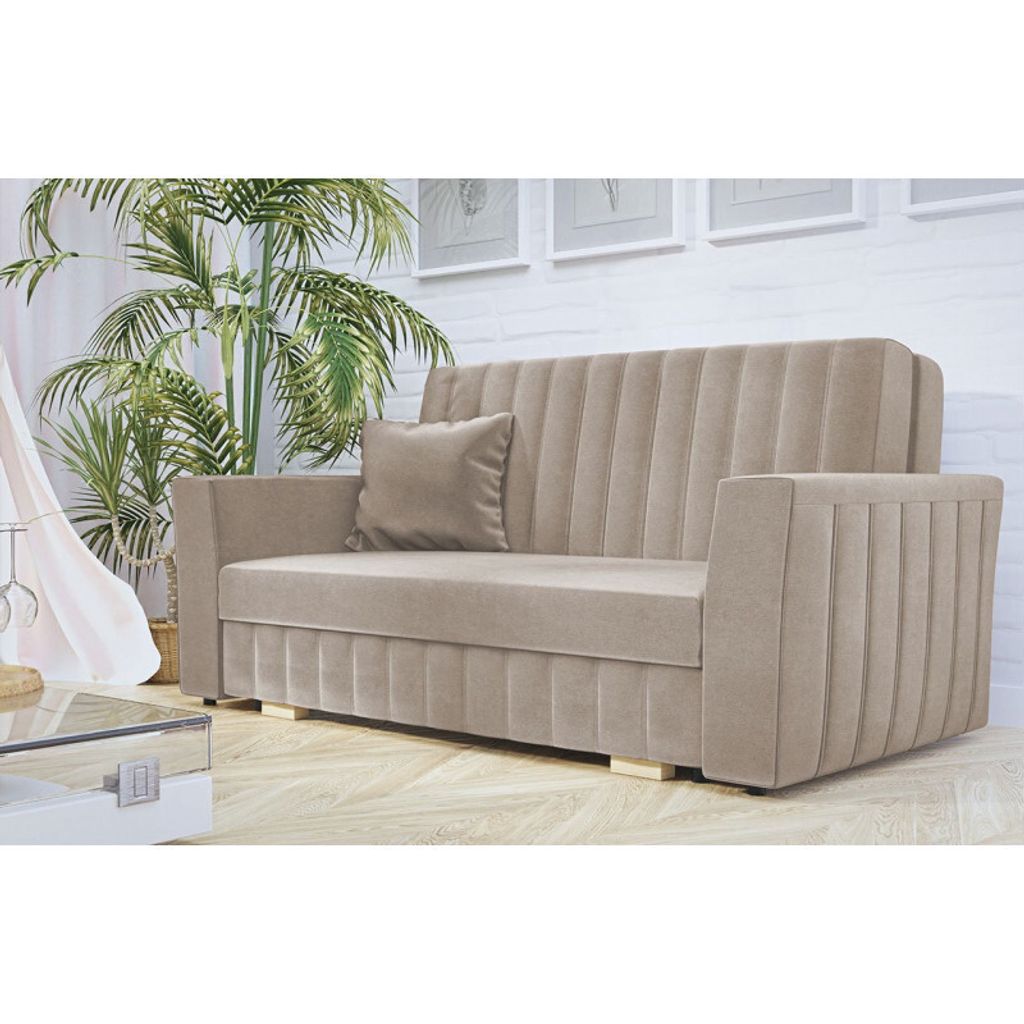 A beige sofa with a decorative pillow is shown in a room with a large plant and framed pictures on the wall.