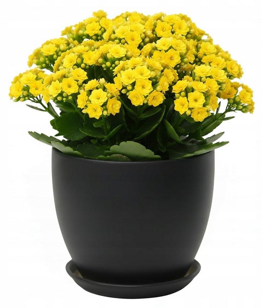 Keramik-Blumentopf, Schwarz Matt, Durchmesser 14,5 Cm, Höhe Produktbild 
