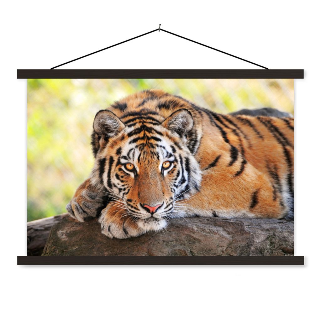 MuchoWow Textilposter Tiger - Welpe - Rüssel 60x40 cm mit schwarzem Rahmen - Hölzernes
