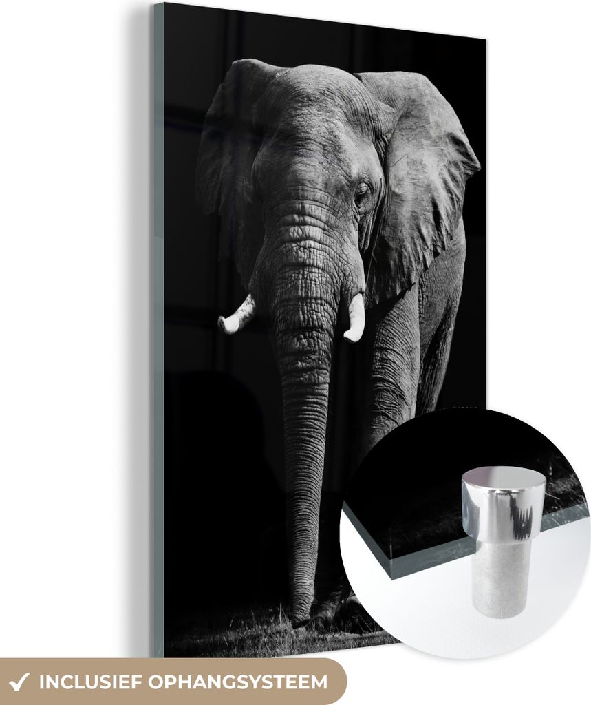 MuchoWow Glasbilder - Bilder auf Wandbild - Foto auf Glas Elefant - Schwarz - Weiß - Wilde Tiere 80x120 cm Wanddekoration aus Glas - Acrylglasbild...