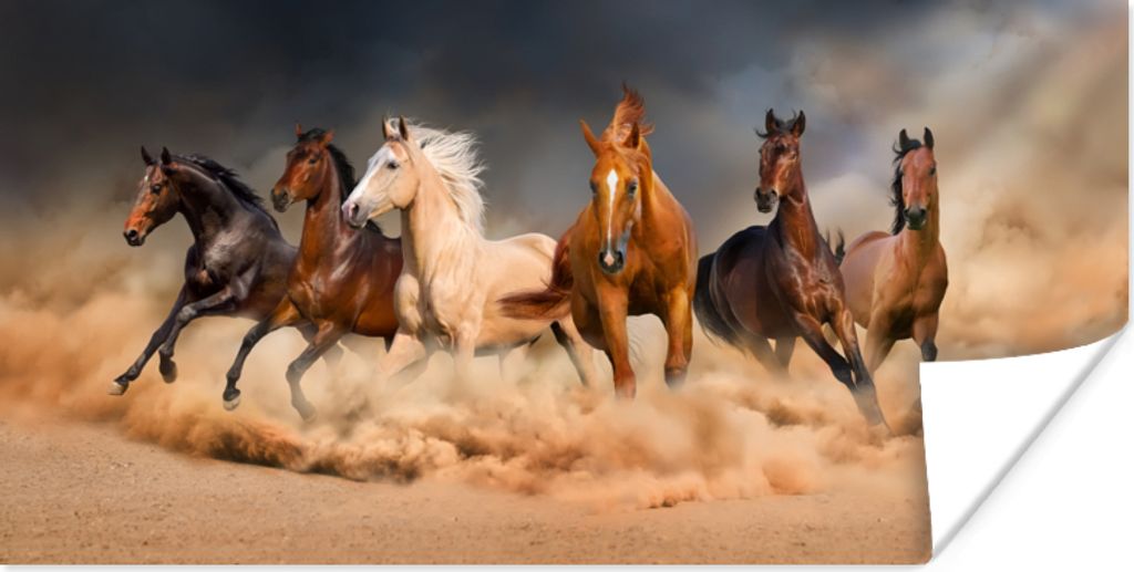 MuchoWow Poster Pferde - Tiere - Sand - Stoff 40x20 cm - Poster für die Wand - Poster Schlafzimmer
