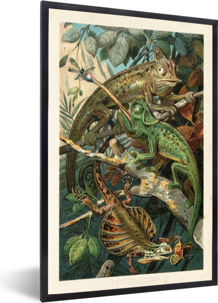 MuchoWow MuchoWow Gerahmtes Poster Vintage - Reptilien - Pflanzen 60x90 cm - Poster mit zchwarzem Bilderrahmen - Kunst