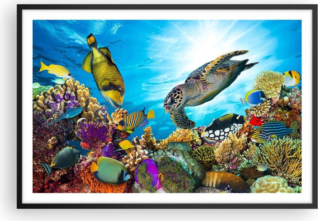 Gerahmtes Poster - Schwarzer Rahmen - Riff Koralle Fisch - 91,5x61 cm - Wand Bild - Wanddeko - Wandbilder - Kunstposter - Wandposter - Bilderrahmen...
