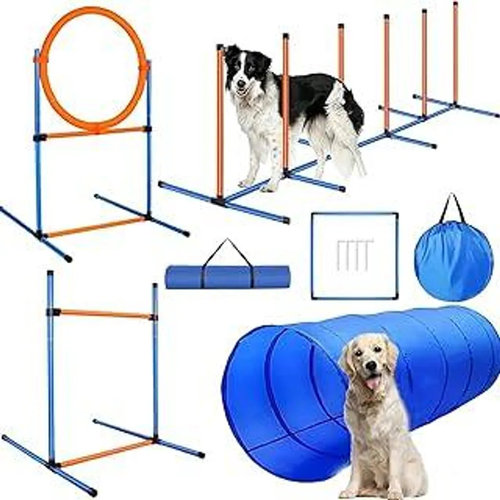 Set Agility Dog: Crea un Legame Unico con il Tuo Cane Giocando
