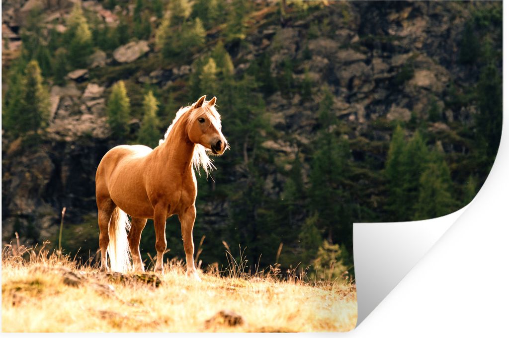 MuchoWow - Selbstklebend - Fototapeten