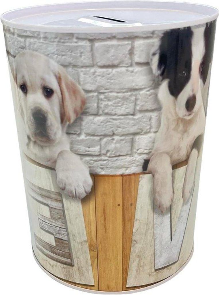 Große XL Sparbox für Hunde, einzigartig, stylisch, 16x12