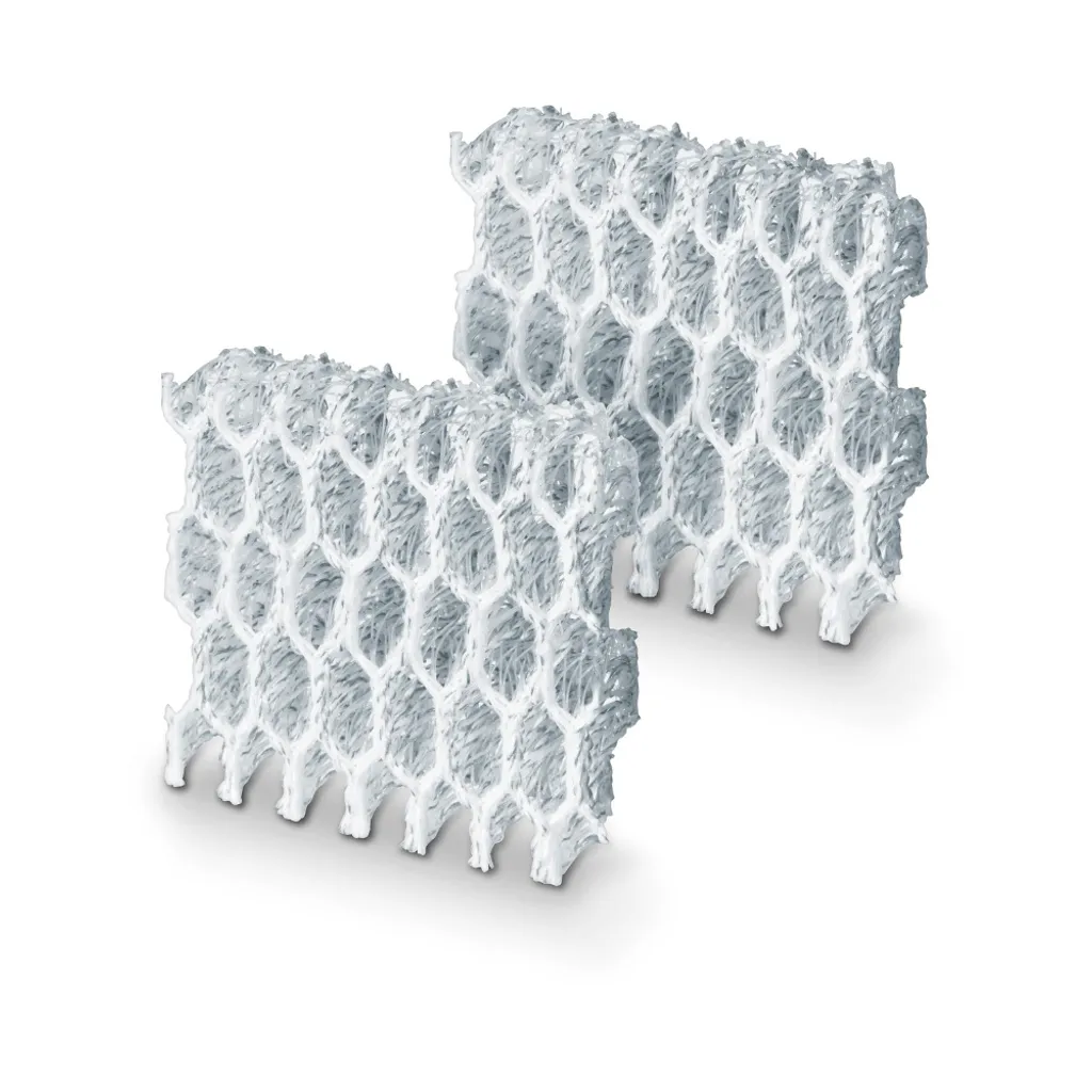 Beurer Silberionen Pads per LW230 2pz - Filtri Silvertex Ricambio Originale