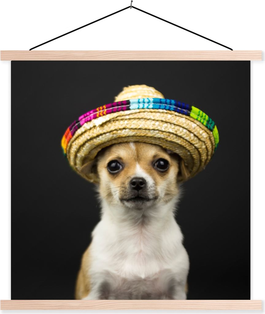 MuchoWow Textilposter Hund - Sombrero - Schwarz 120x120 cm mit holzfarbenen Rahmen - Textil-Poster