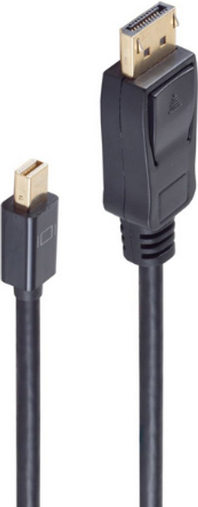 shiverpeaks BASIC-S DisplayPort Anschlusskabel 1,0 m