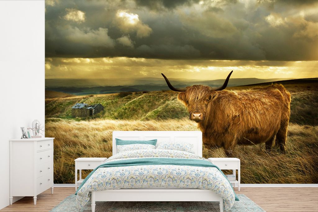 MuchoWow Fototapete für Wohnzimmer oder Schlafzimmer Wandtapete Vinyl Motivtapete Schottische Highlander - Licht - Natur - 360x240 cm - Vinyl-Ta...