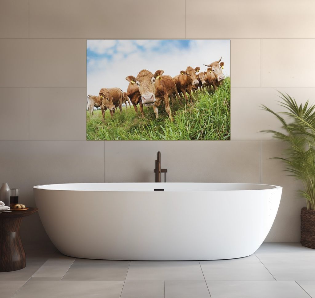 Wallario wasserfestes Poster selbstklebend 70 x 100 cm, Kühe im Sommer auf der Weide, Badezimmerposter Spritzschutz mit Hochglanzoberfläche in Gl...