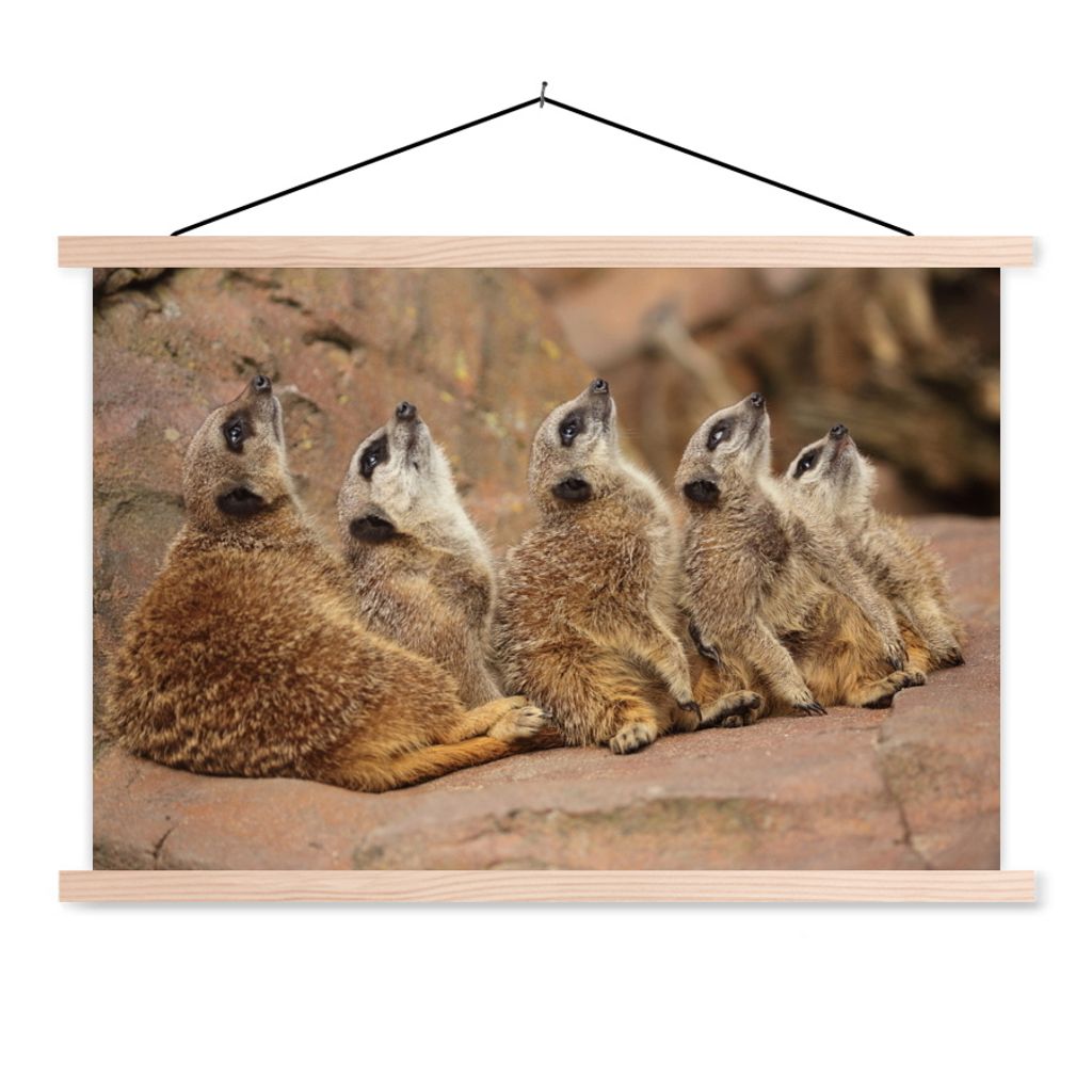 MuchoWow Textilposter Erdmännchen - Felsen - Natur 60x40 cm mit holzfarbenen Rahmen - Bilder