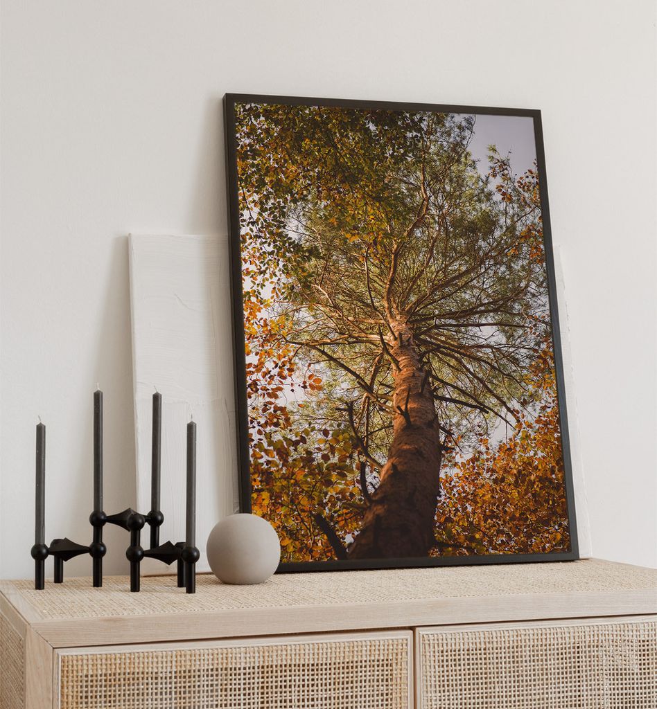 Poster Herbstwald, groesse_poster:21x30 cm, groesse_rahmen:schwarz Passepartout 30x40 cm