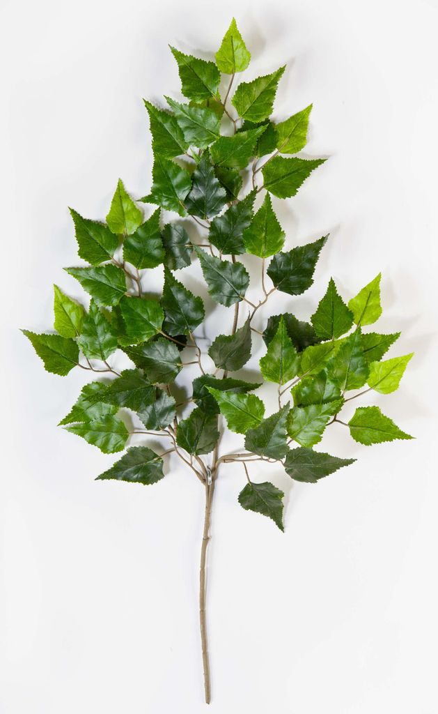 artplants.de Künstlicher Birkenzweig Henrik, schwer brennbar, grün, 70cm - Birken Kunstzweig