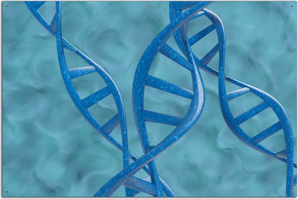 Wallario Outdoor-Poster für Garten oder Balkon, Motiv DNA-Strang in blau auf türkisem Hintergrund, in ca. 61 x 91,50 cm