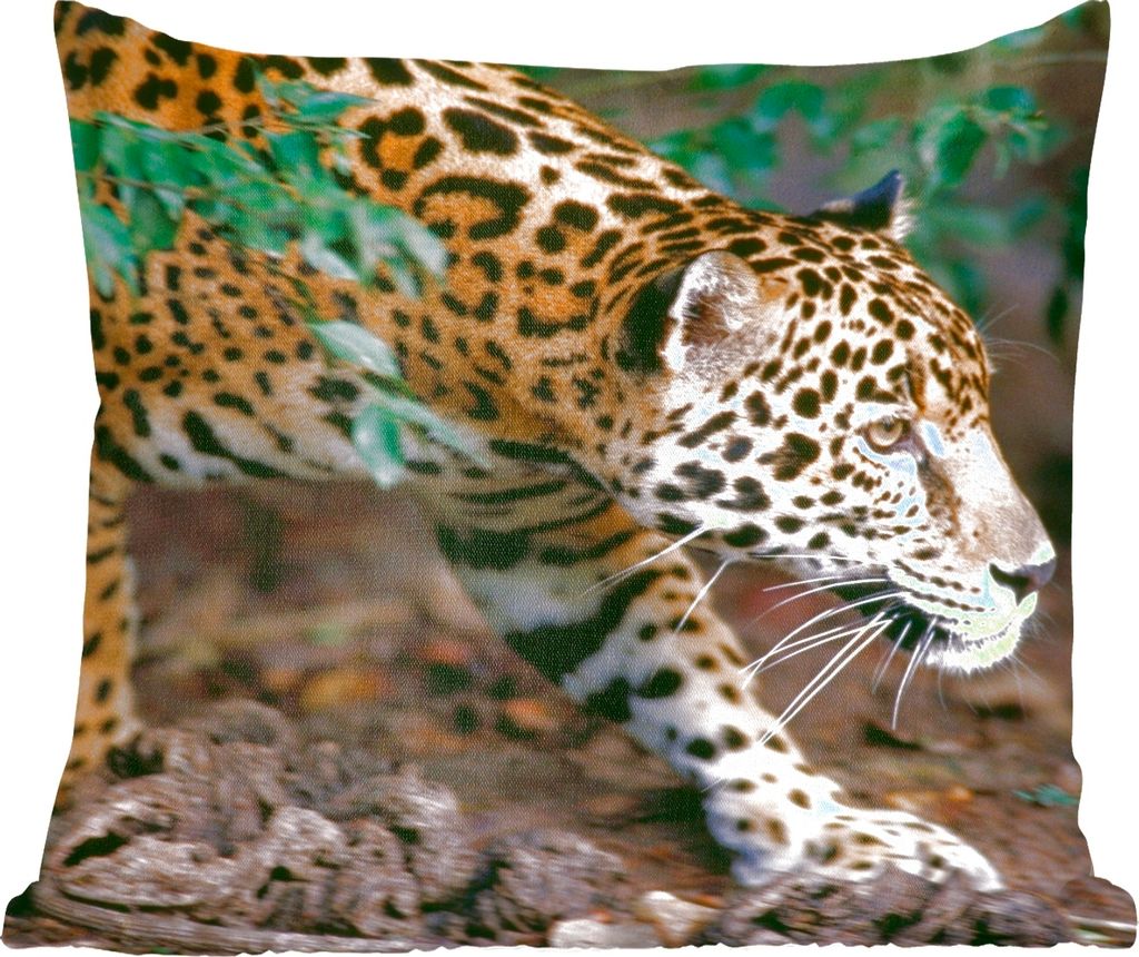 MuchoWow Zierkissen Sofakissen Wohnzimmer Dekokissen 60x60 cm Schleichender Jaguar im Wald - Sitzfläche - Foto Polster