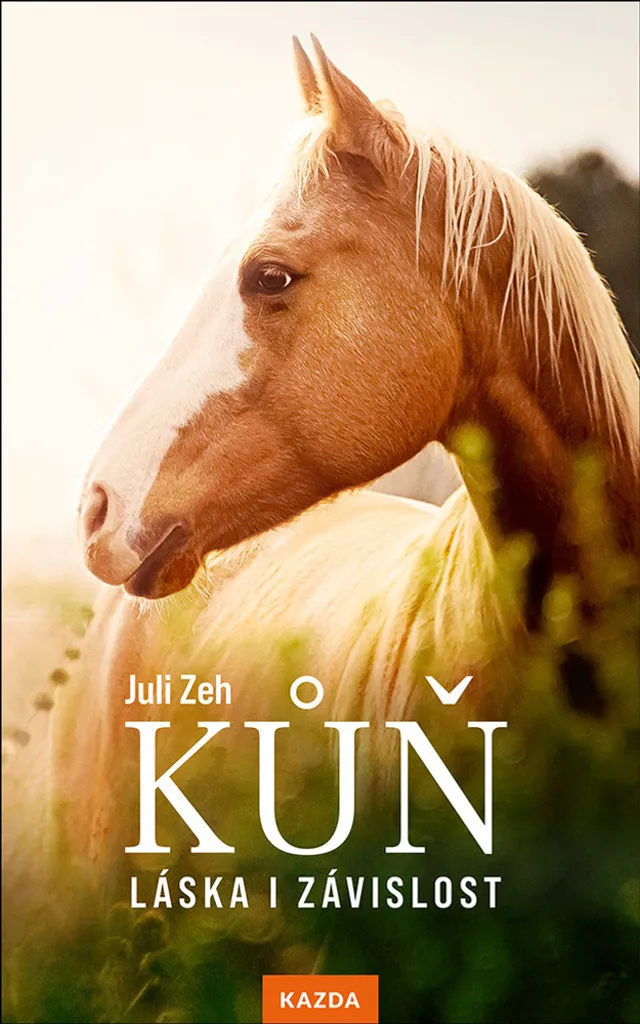 Livre de Juli Zeh Kůň Láska i závislost - Lecture évasion et réflexion