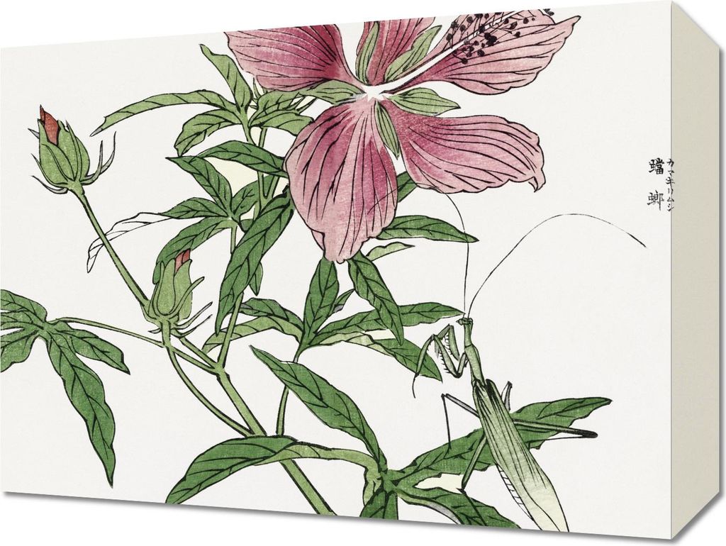 Bild 40x30cm Blume Illustration Morimoto Toko Japanisch Vintage für das Wohnzimmer