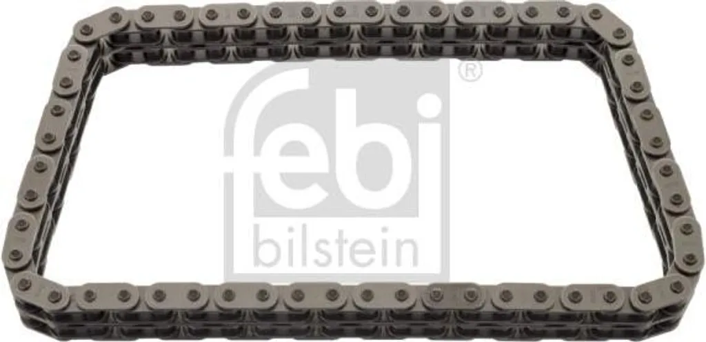 Febi Bilstein 09342: Catena Distribuzione Duplex BMW Serie 5, 7, 8 V8