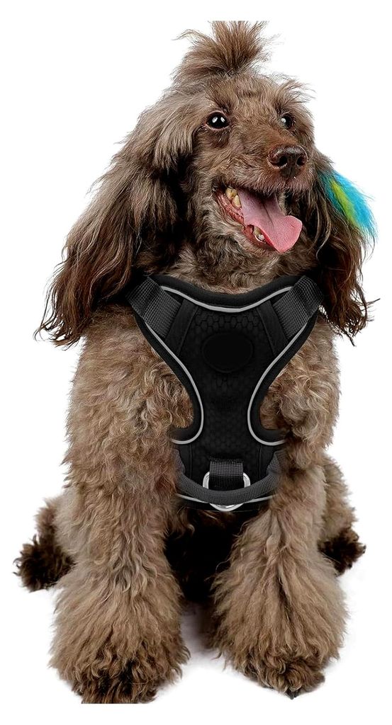 Hundegeschirr, groß, mittel, klein, bequem, Anti-Zieh-Geschirr, atmungsaktiv, gepolstert, verstellbar, für Laufen (S)