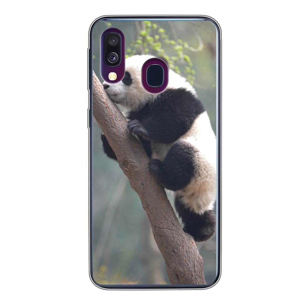 MuchoWow Handyhülle Schutzhülle Hülle für Samsung Galaxy A40 Panda - Tier - Baum Silikon Softcase Handy Hülle - Handy-Tasche