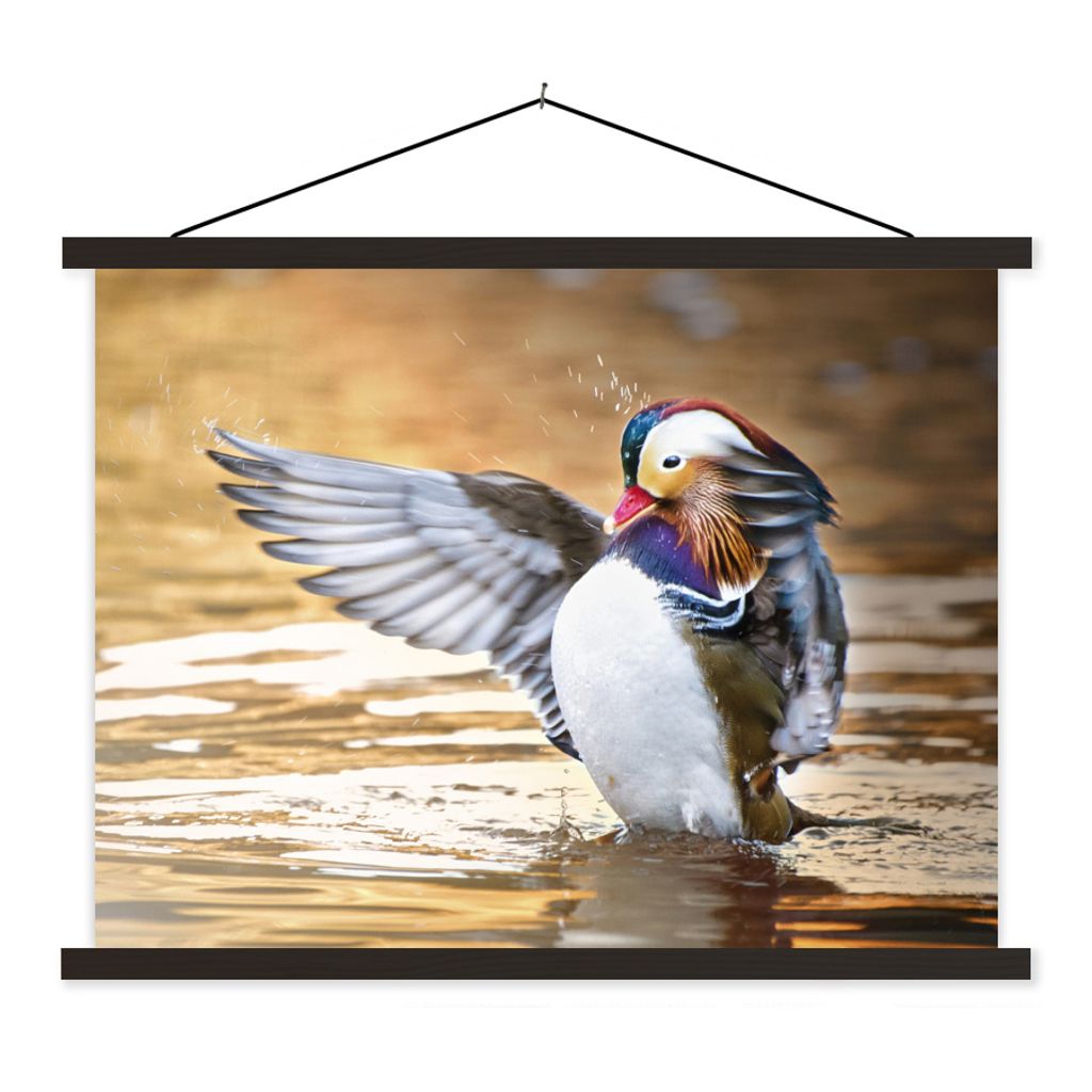 MuchoWow Textilposter Ente - Tier - Wasser - Herbst 40x30 cm mit schwarzem Rahmen - Dekorationen