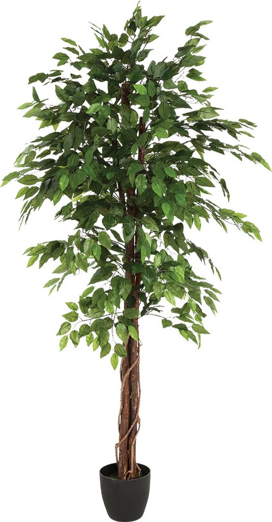 Vysoký umělý fíkus s květináčem, výška 180 cm Obrázek produktu 