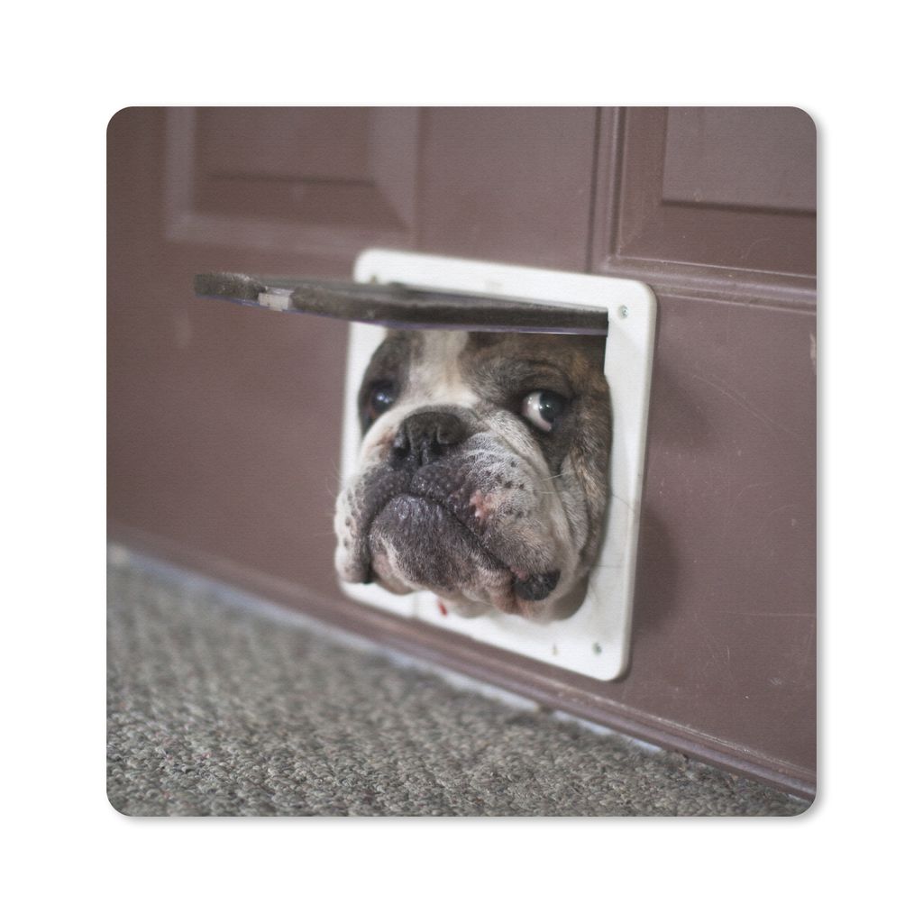 MuchoWow Mauspad Mousepad Hund - Lustig - Katzenklappe - Kinder - Jungen - Mädchen - Kinder 20x20 cm - Mousepads - Maus Mat - Pad - Mausunterlag...