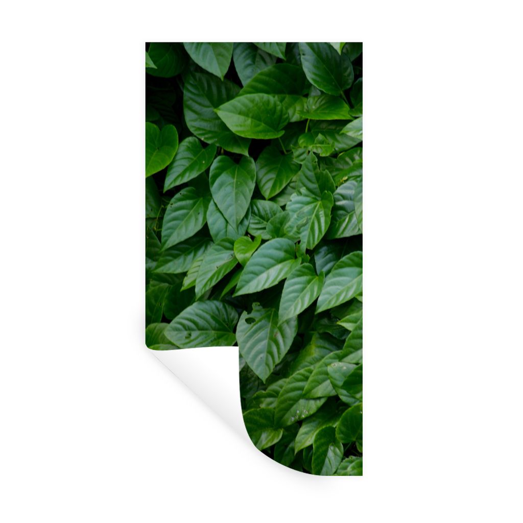 MuchoWow Wandtattoo Wandsticker Wandaufkleber Grüne Blätter 60x120 cm Selbstklebend und Repositionierbar - Selbstklebend - Fototapeten