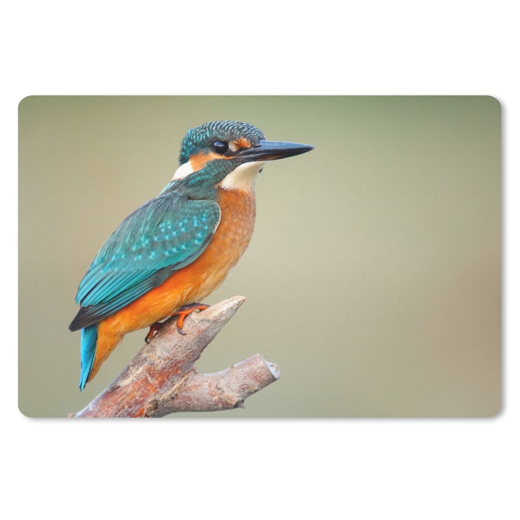 MuchoWow® Mauspad Mousepad Vogel - Eisvogel - Zweig 27x18 Produktbild 