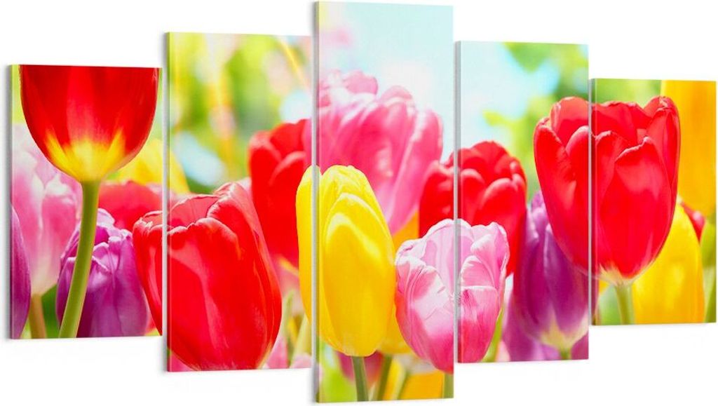 Bild auf Leinwand - Leinwandbild - Tulpe Blume Garten Plantage - 160x85cm - Wand Bild - Wanddeko - Leinwanddruck - Bilder - Kunstdruck - Wanddekora...