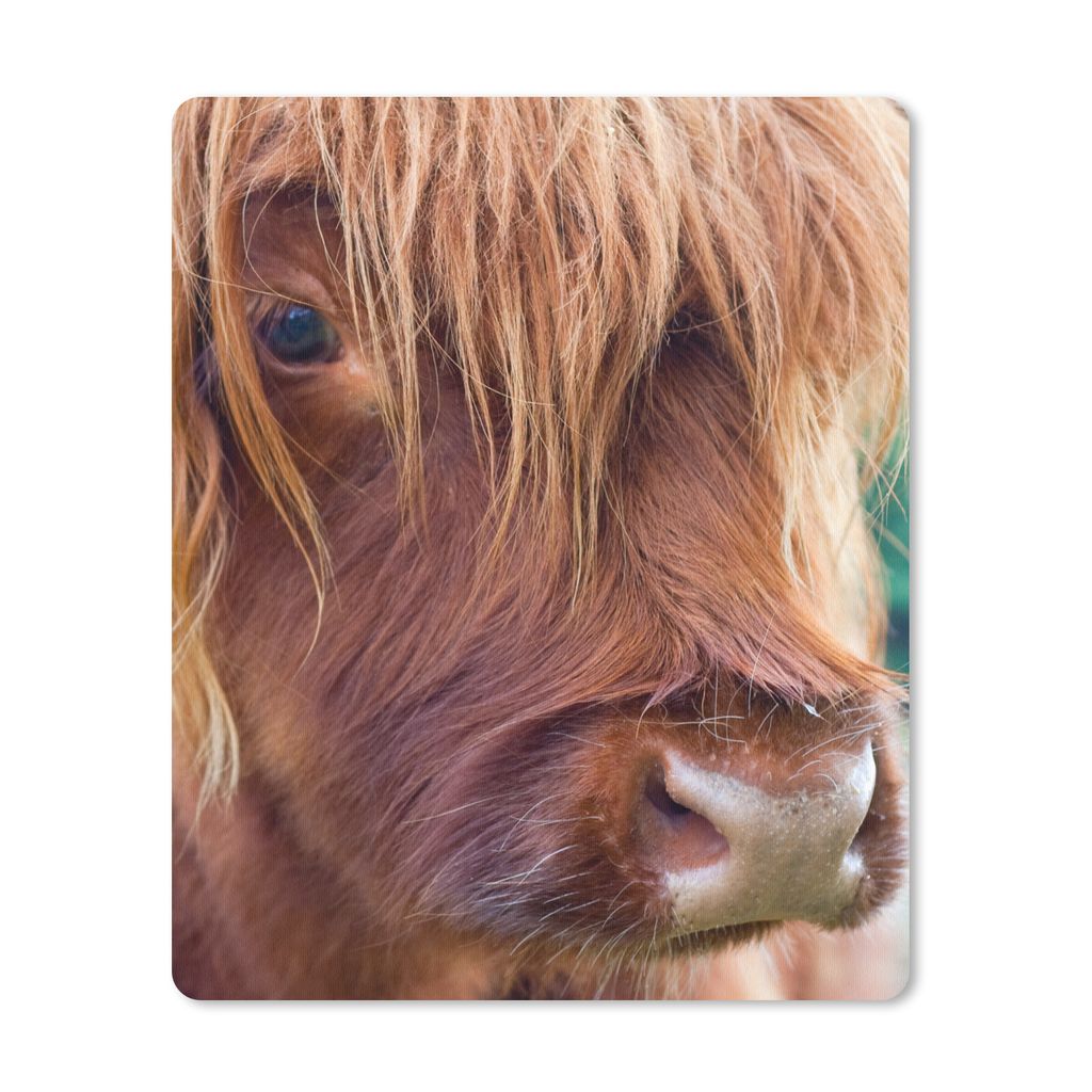 MuchoWow Mauspad Mousepad Schottischer Highlander - Braun - Kalb 19x23 cm - Mousepads - Maus Mat - Pad - Mausunterlage - Mauspads - Spielen