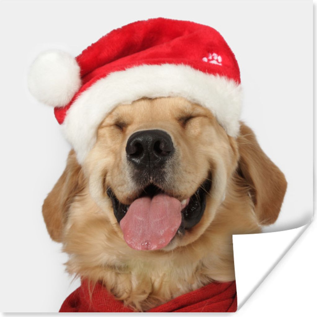 MuchoWow Poster Hund - Lustig - Lachen - Kinder - Jungen - Mädchen 75x75 cm - Wand Dekoration