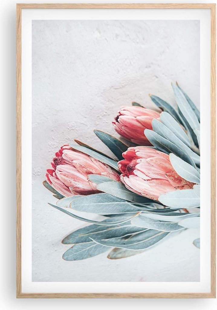 Gerahmtes Poster - Rahmen in heller Eiche - Blume Eukalyptus Australier - 61x91,5 cm - Wand Bild - Wanddeko - Wandbilder - Kunstposter - Wandposter...