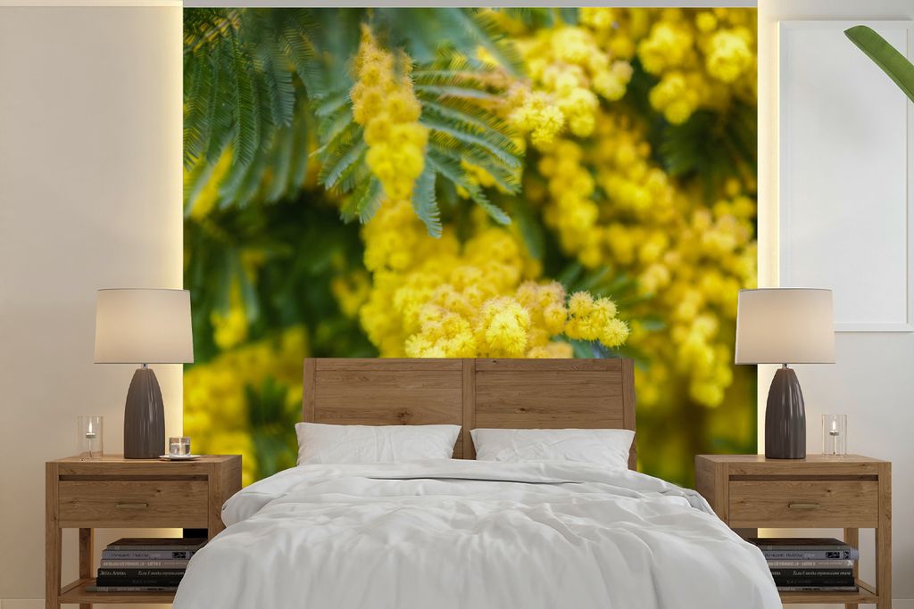 MuchoWow Fototapete für Wohnzimmer oder Schlafzimmer Wandtapete Vinyl Motivtapete Gelbe Mimosenblüten - 260x260 cm - Papiertapeten