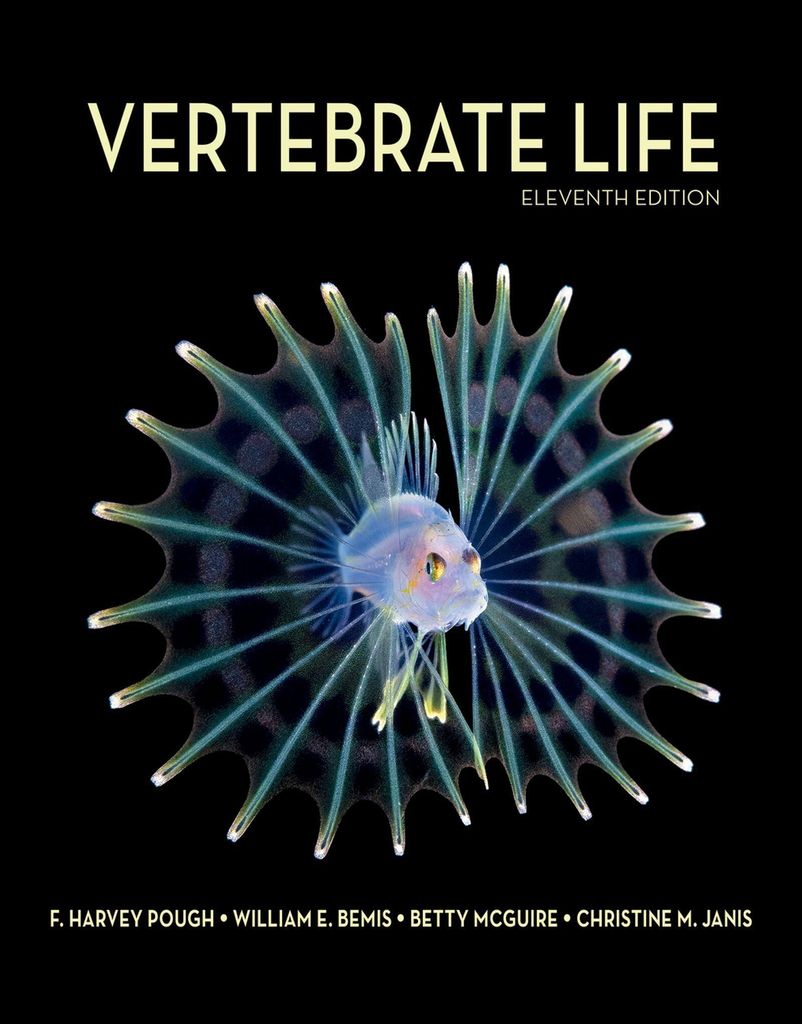 McGuire, B: Vertebrate Life