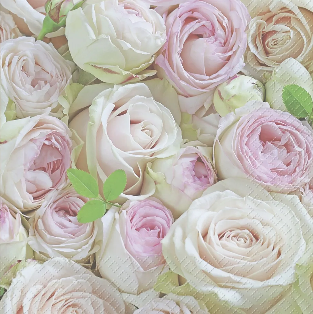 Serviettes en papier 3 plis Stewo Lova 33x33 cm rose clair résistantes