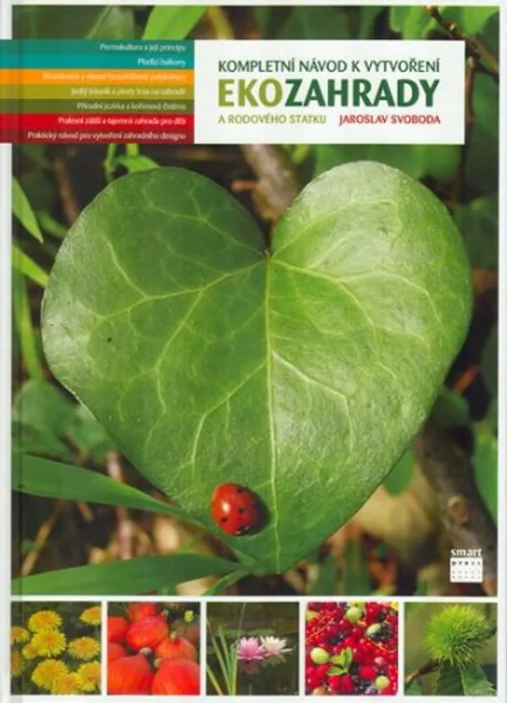 Comment créer un jardin sans entretien ? La solution Ekozahrada guide