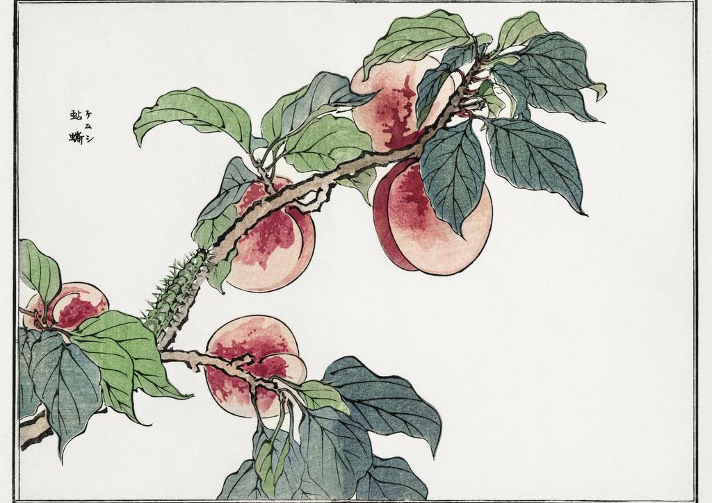 Plakat 42x29,7cm Raupe auf dem Baum Morimoto Toko Japanisch Vintage für das Wohnzimmer