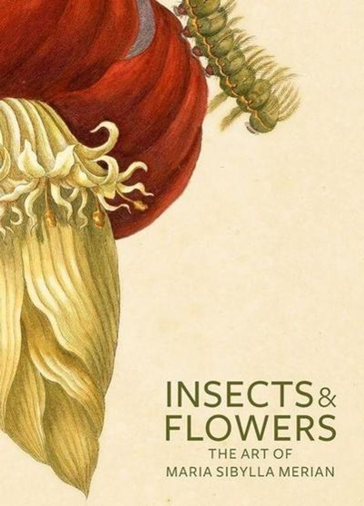 Insects & Flowers – Lingua: Inglese
