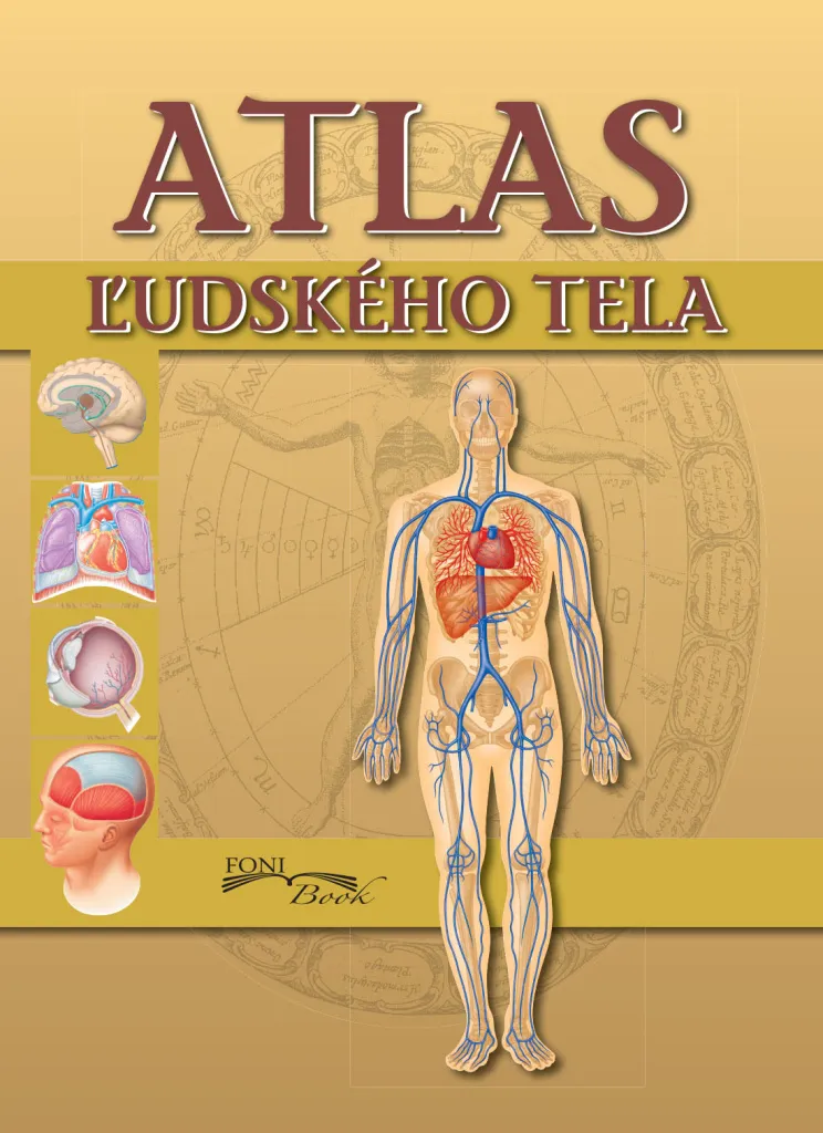 Atlas du corps humain idéal pour les étudiants en médecine et infirmiers