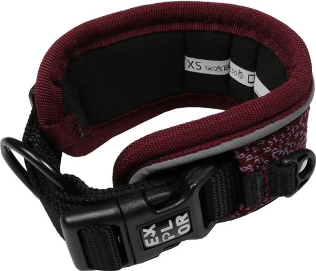 Collier de marche confortable Duvoplus EXPLOR violet prune pour chiot - 2