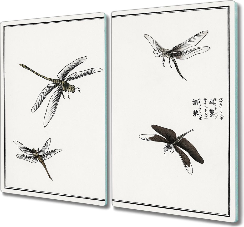 Coloray Hackbrett Herdabdeckplatte 2x30x52 cm Küchenbrett Kochplattenabdeckung Schneidebrett - Insekten Würmer